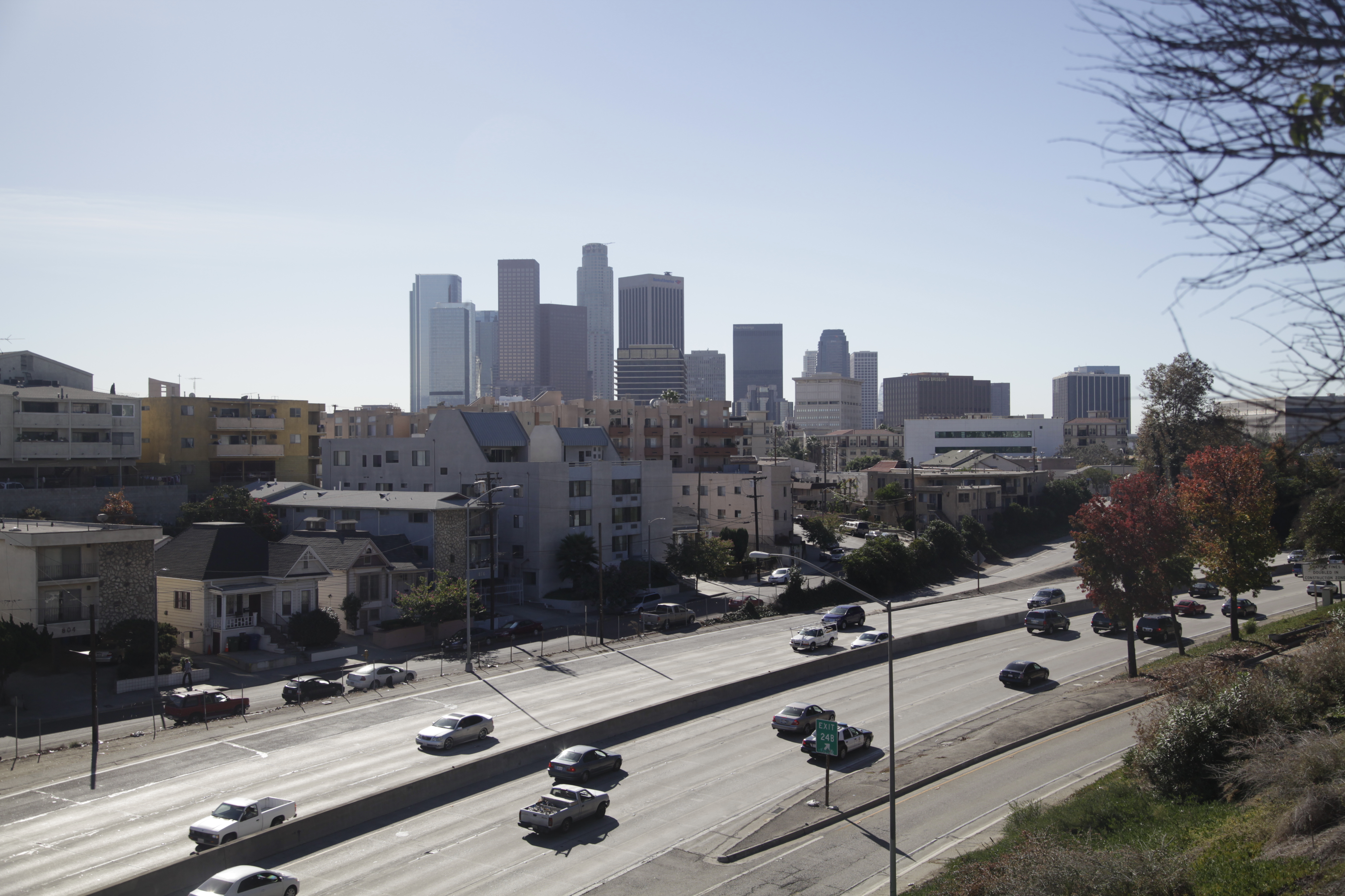 Los Angeles Cityscape